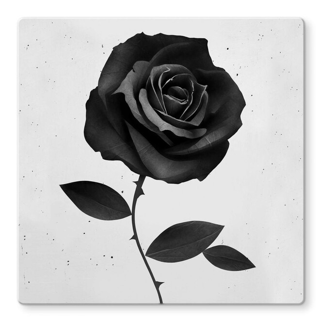 Glasbild Ireland - Fabric Rose - Stoffrose