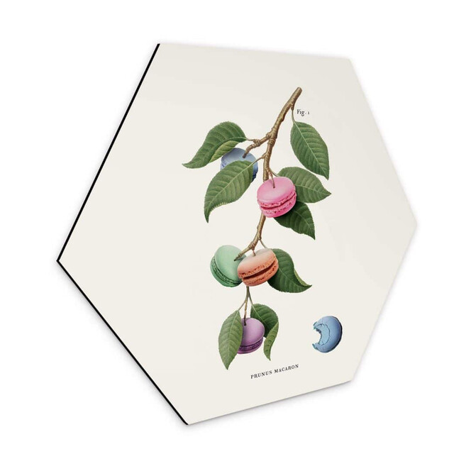 Hexagon - Alu-Dibond Loose - Macaron Pflanze