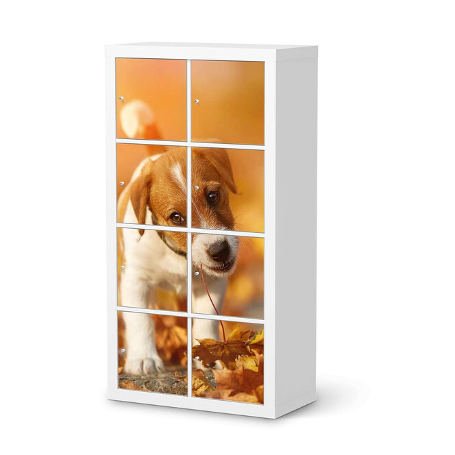Klebefolie IKEA Expedit Regal 8 Türen - Jack the Puppy- Bild 1