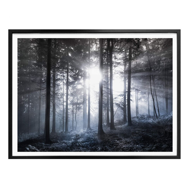 Poster Sonnenstrahlen im Wald Blau