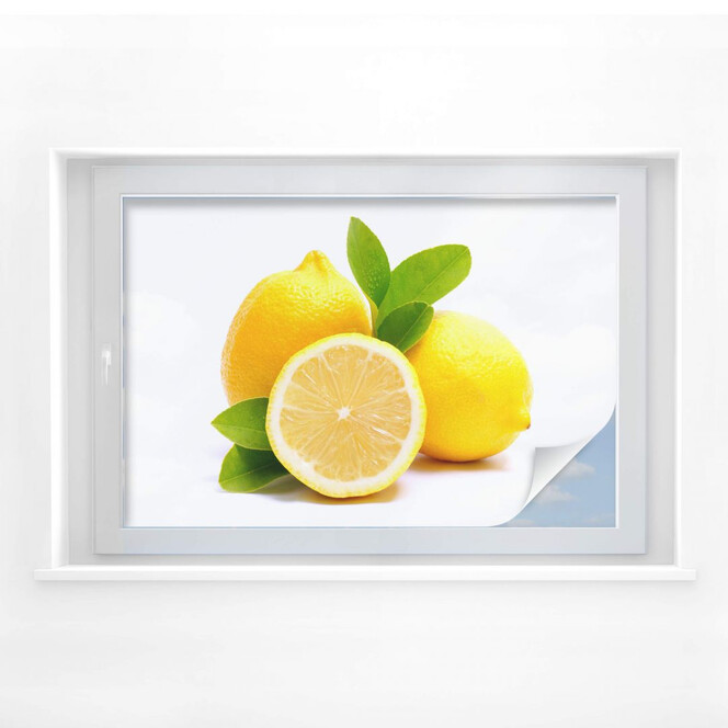 Sichtschutzfolie Lemons