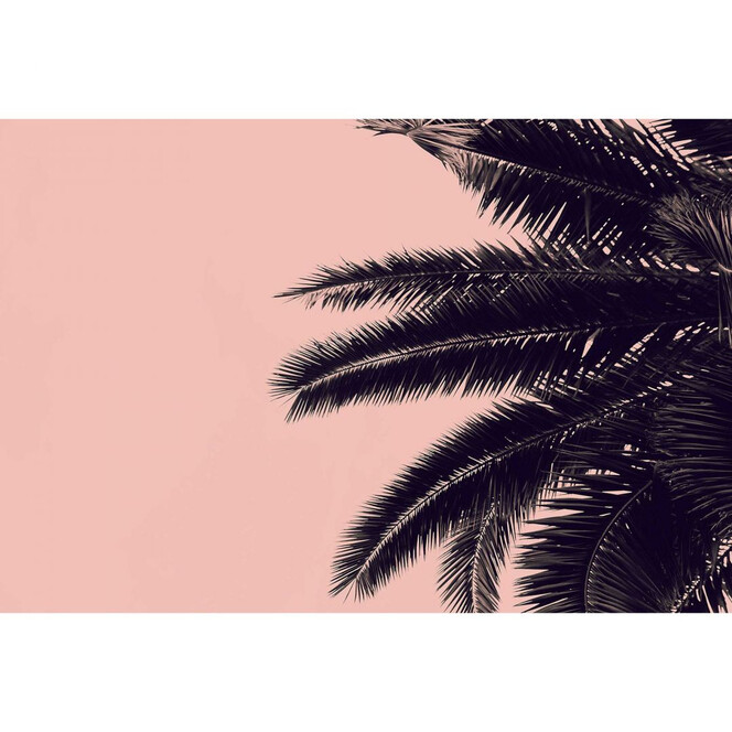 Livingwalls Fototapete ARTist Palm Tree mit Palme rosa, schwarz - Bild 1