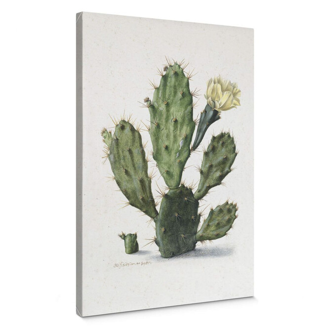 Leinwandbild Saftleven - Kaktus