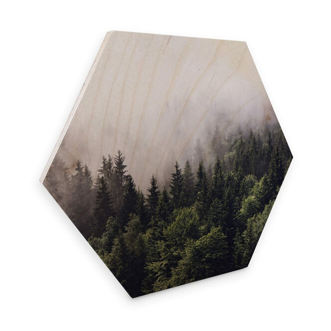 Hexagon - Holz Birke Furnier Nebliger Wald