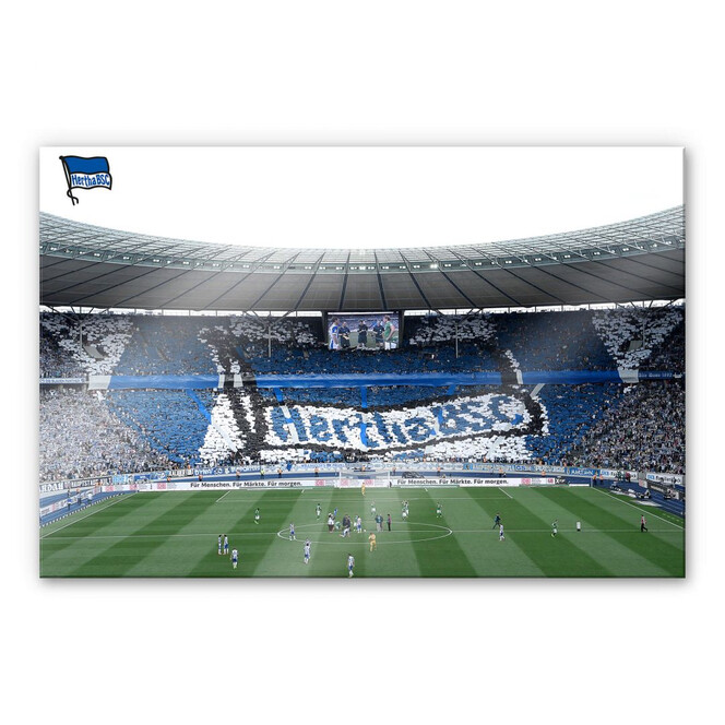 Acrylglasbild Hertha BSC - Spielstart im Stadion