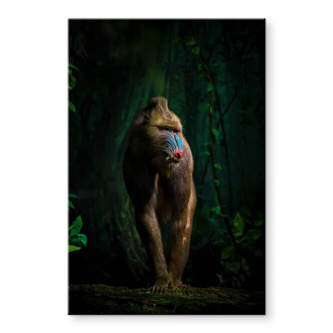 Acrylglasbild Yunta - Im Dschungel