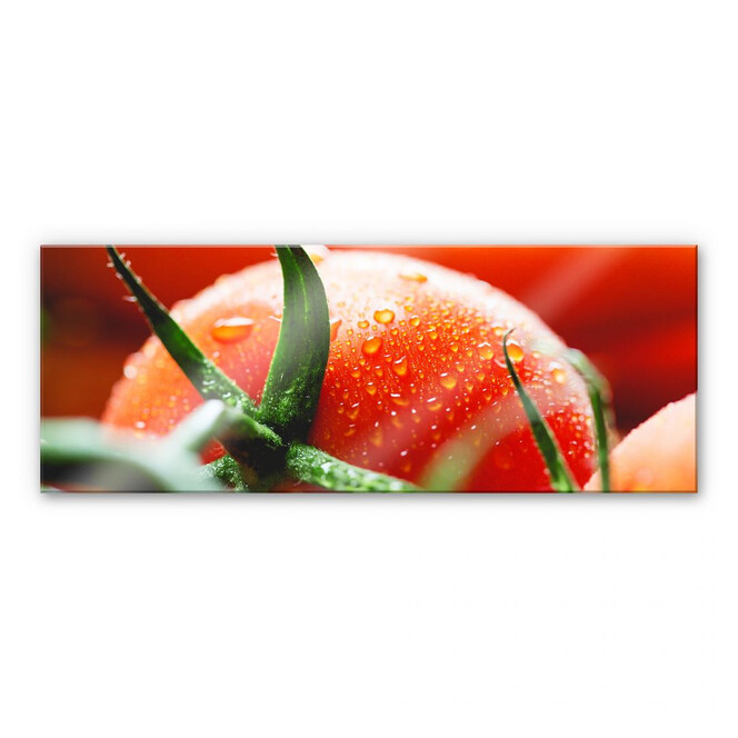 Acrylglasbild Fresh Tomato - Panorama