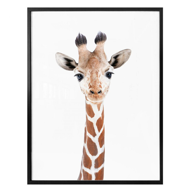 Poster Sisi & Seb - Baby Giraffe
