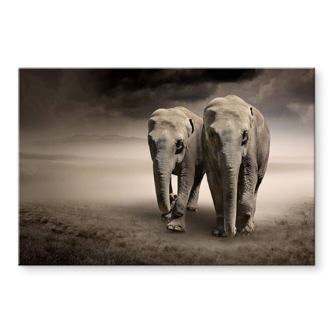 Acrylglasbild Die Elefanten