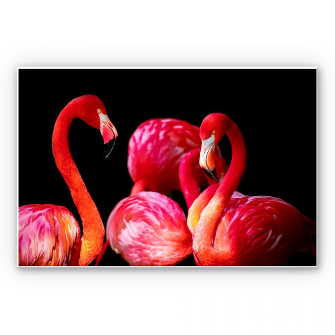Wandbild Pink Flamingo