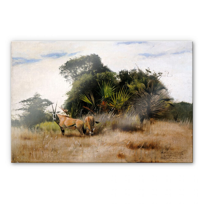 Acrylglasbild Kuhnert - Antilopen
