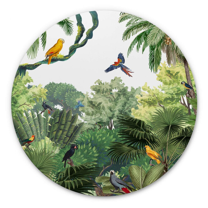 Alu-Dibond Kikki Belle - Tropische Vögel - Rund