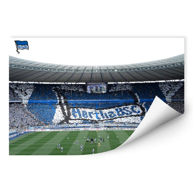 Wallprint Hertha BSC - Spielstart im Stadion