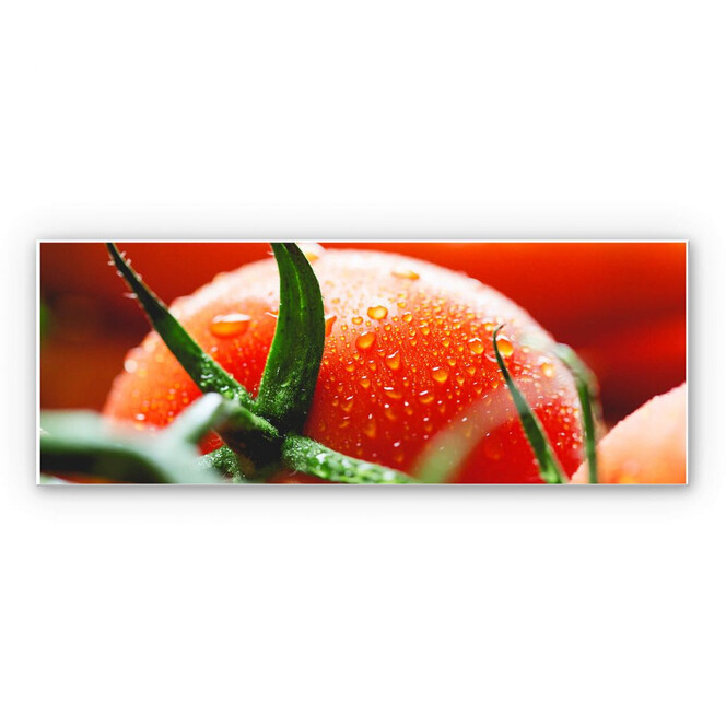 Wandbild Fresh Tomato - Panorama