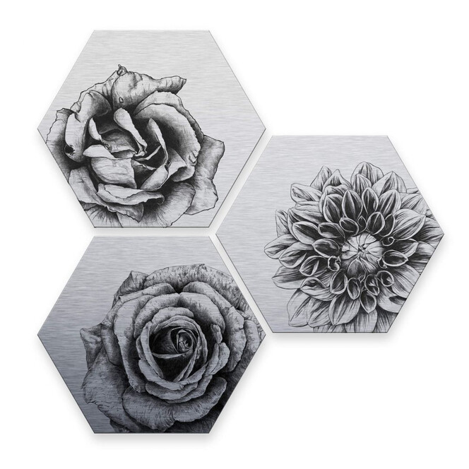 Hexagon - Alu-Dibond Silbereffekt Kools - Flowery 3er Set
