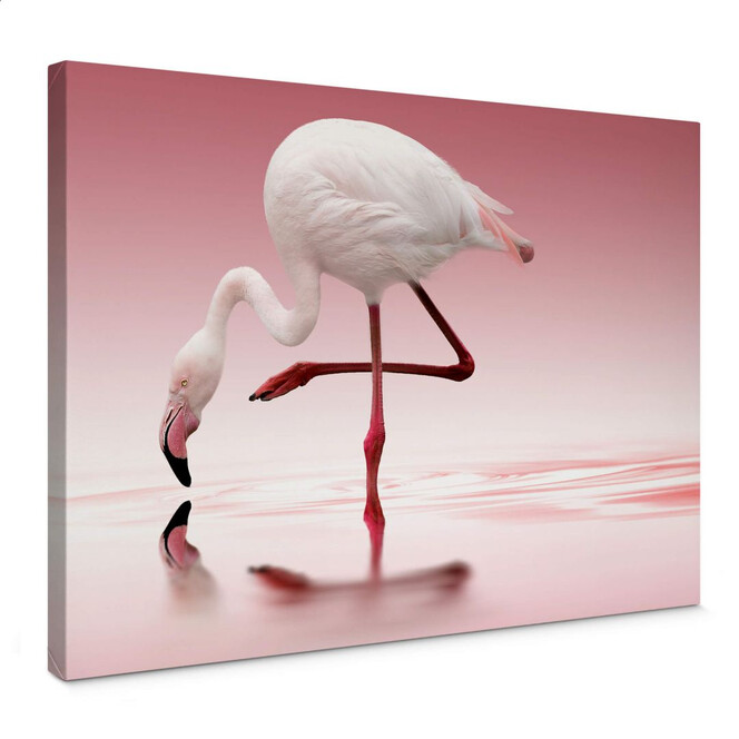 Leinwandbild Reindl - Pink Flamingo
