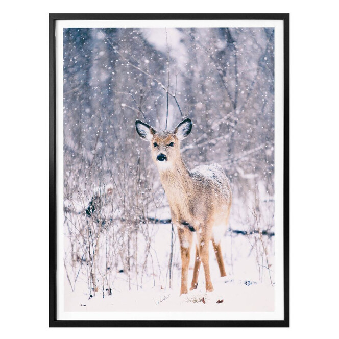 Poster Winter Fawn