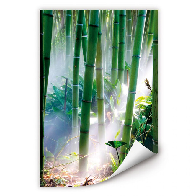 Wallprint Bamboo Forest