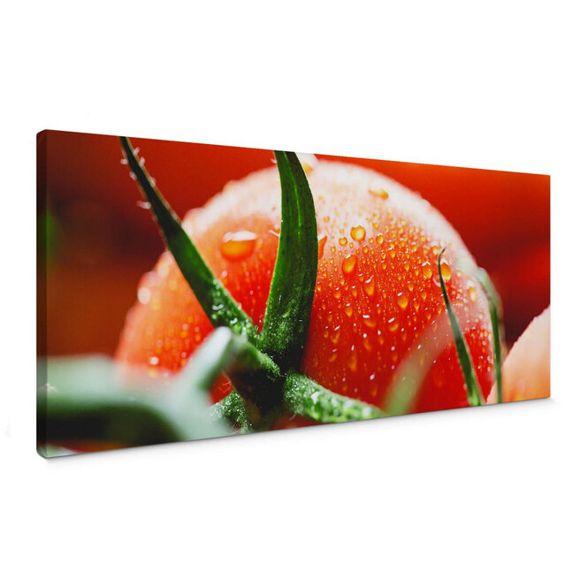 Leinwandbild Fresh Tomato - Panorama
