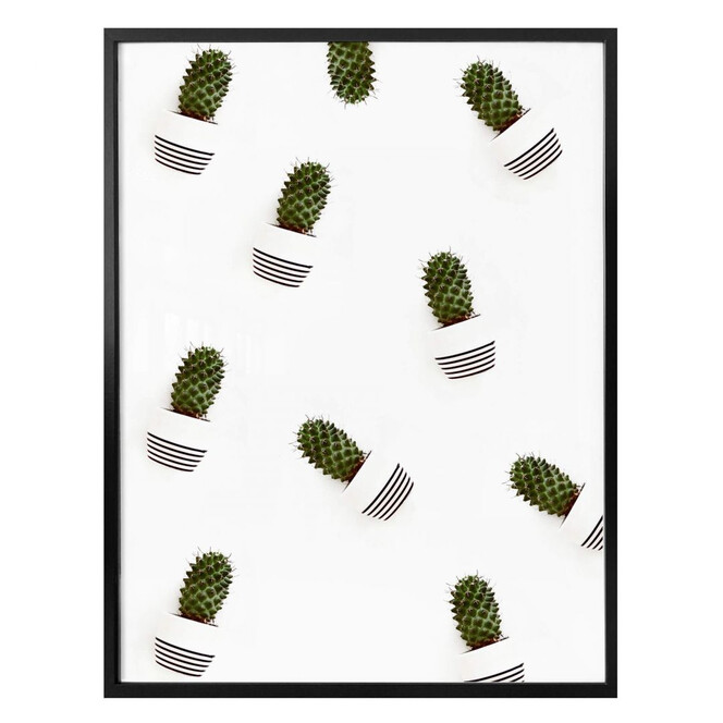 Poster Mein kleiner Kaktus - Kakteen