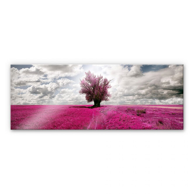 Acrylglasbild The Lonely Tree - Panorama