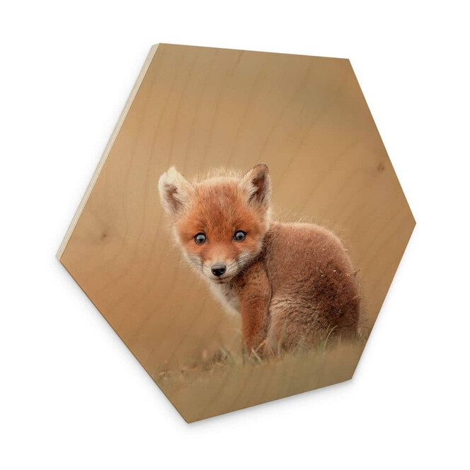 Hexagon - Holz van Duijn - Baby Fuchs