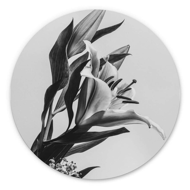 Wandbild Jo - Zauberhafte Lilie schwarz-weiss - Alu-Dibond Rund