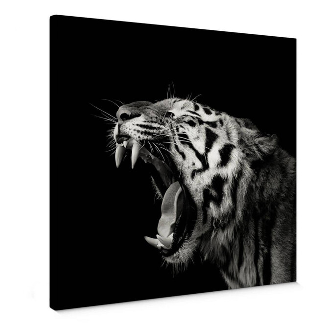 Leinwandbild Meermann - Der Tiger - quadratisch
