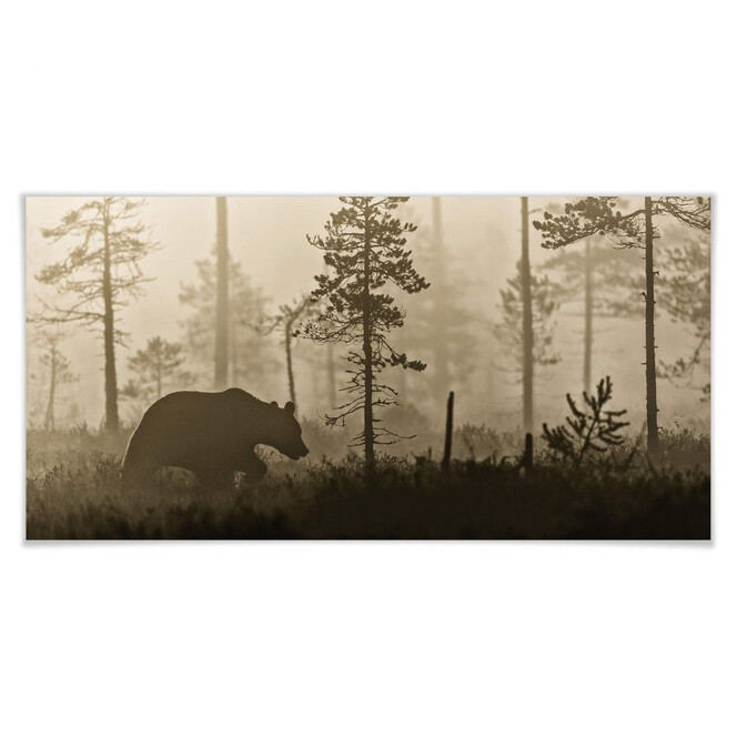 Poster Ove Linde - Nebel am Morgen - Panorama