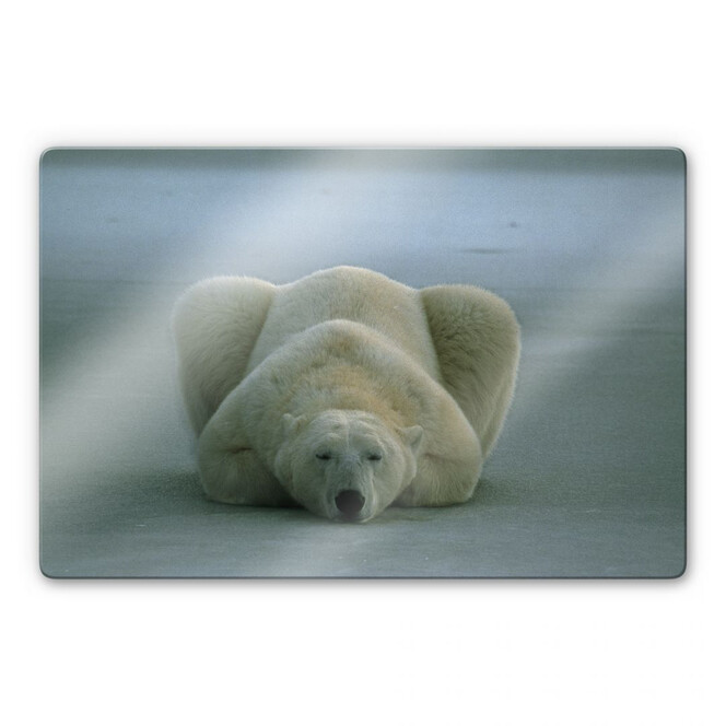 Glasbild NG Eisbär schlafend