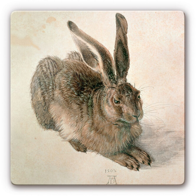Glasbild Dürer - Junger Feldhase