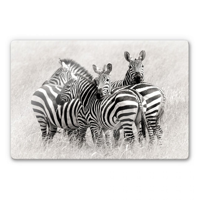 Glasbild Trubitsyn - Zebras in der Savanne