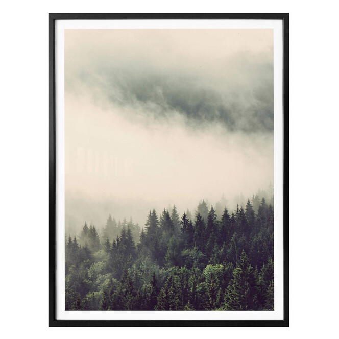 Poster Nebel im Wald 02