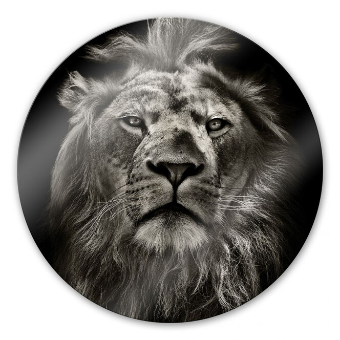 Glasbild Lion - rund