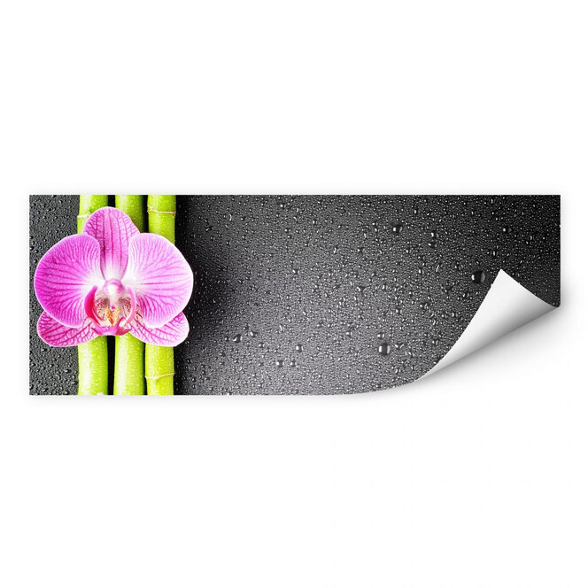 Wallprint Orchid and Bamboo - Panorama (horizontal)