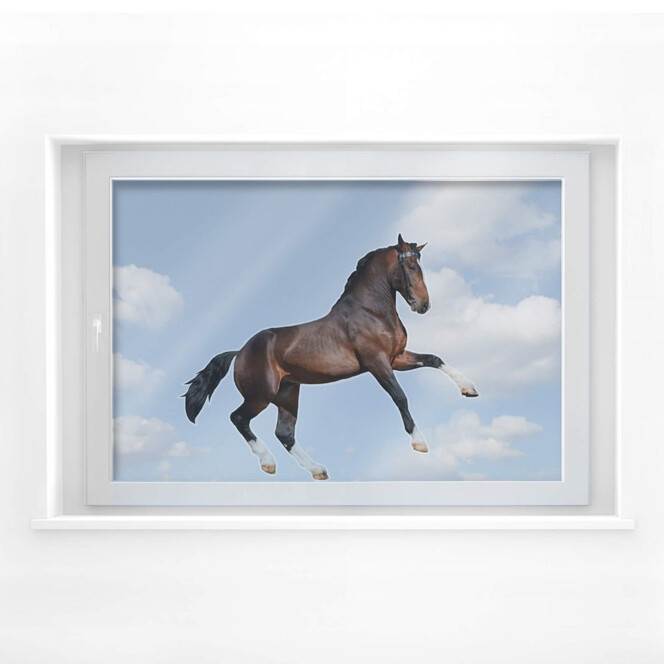 Fensterbild Real acting Horse