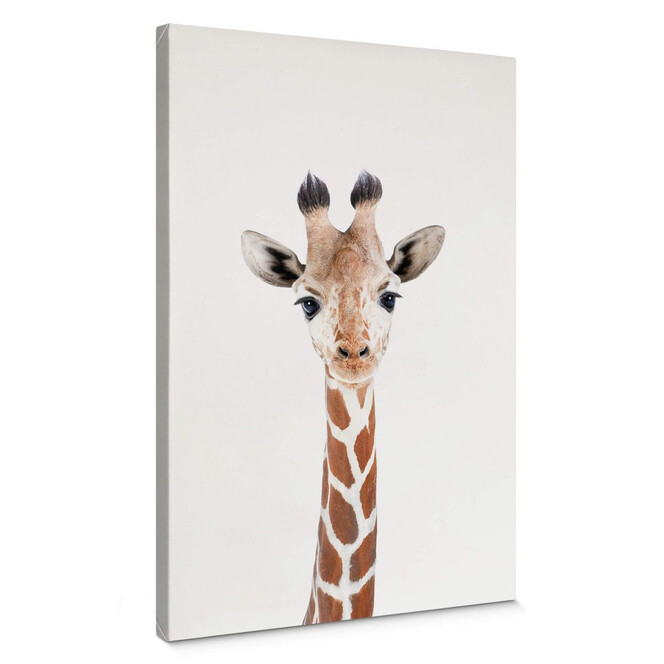 Leinwandbild Sisi & Seb - Baby Giraffe