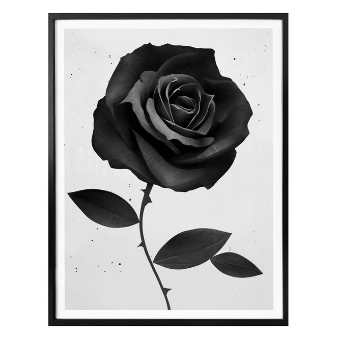 Poster Ireland - Fabric Rose - Stoffrose