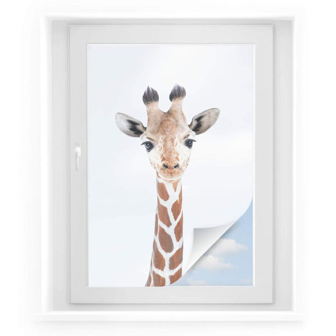 Sichtschutzfolie Sisi & Seb - Baby Giraffe