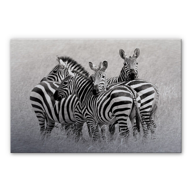 Alu-Dibond Bild Trubitsyn - Zebras in der Savanne