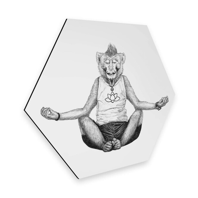 Hexagon - Alu-Dibond Kools - Monkey Yoga