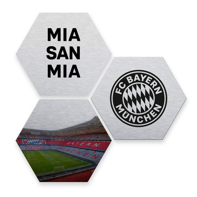 Hexagon - Alu-Dibond-Silbereffekt - FC Bayern (3er Set) - Bild 1