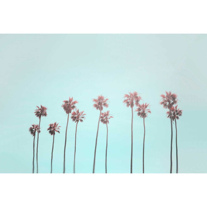 Livingwalls Fototapete ARTist Tropical Trees mit Palmen rosa, türkis - Bild 1