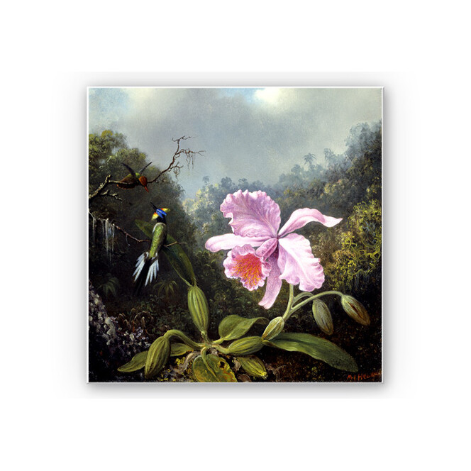 Wandbild Heade - Stillleben mit Orchidee und Kolibris