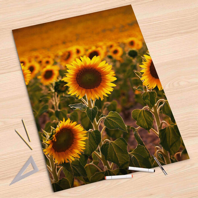 Folienbogen (80x120cm) - Sunflowers- Bild 1