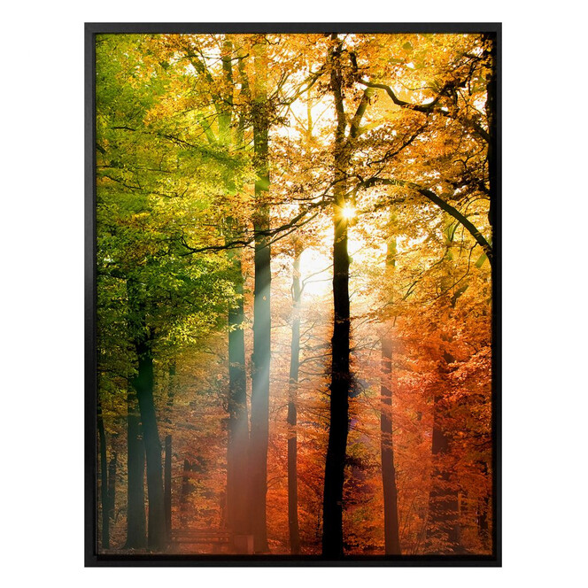 Poster - Goldener Herbst 