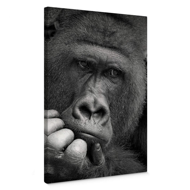 Leinwandbild Braun - Der Gorilla