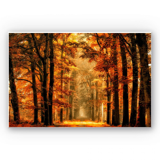 Wandbild van de Goor - Herbstallee