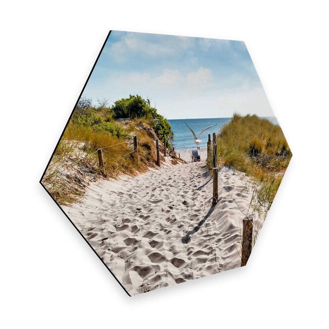 Hexagon - Alu-Dibond - Way to the Beach