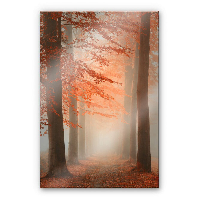 Acrylglasbild Dingemans - Herbstträume